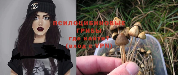 твердый Дедовск
