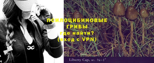 амфетамин Богородицк