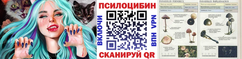 Псилоцибиновые грибы Psilocybe  Маркс 
