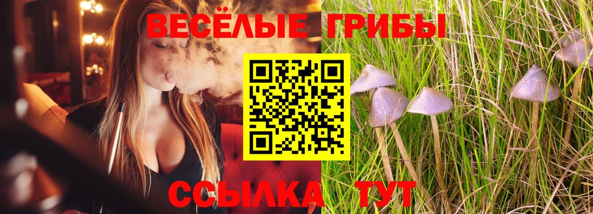 Псилоцибиновые грибы MAGIC MUSHROOMS  Вход с VPN  Псилоцибиновые грибы Cubensis  Маркс 